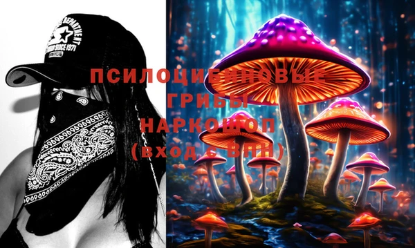 mix Осинники
