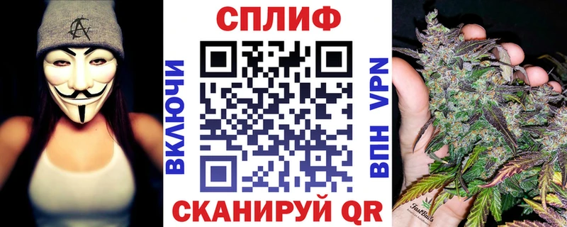 дарнет шоп  Торопец  МАРИХУАНА семена 